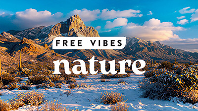 free vibes nature