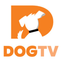 DOGTV